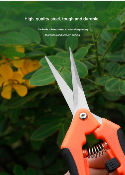 Fruit picking shears水果采摘剪HT00090005